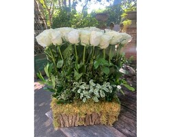 Starts at size,  inches height and  inches wide.