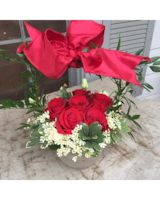 Premium Lush size,  inches height and  inches wide.