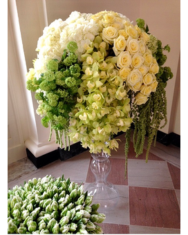Standard size,  inches height and  inches wide.