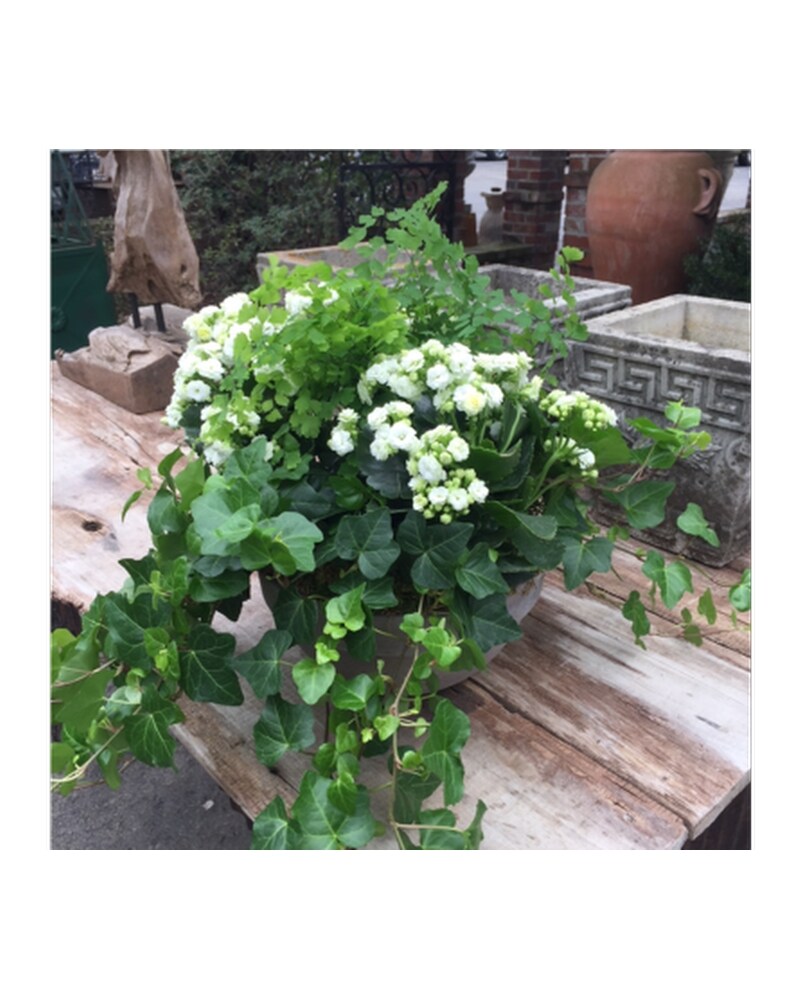 DE-803030-A.jpg?1531940931807