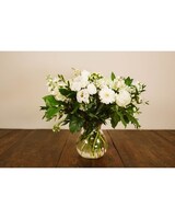 Medium, all white - no daisy, no carn size,  inches height and  inches wide.