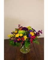 Medium, strong - no daisy, no carn size,  inches height and  inches wide.