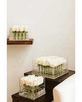 Full white box set size,  inches height and  inches wide.