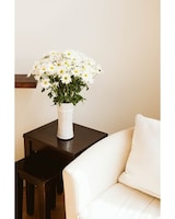 White Daisies size,  inches height and  inches wide.