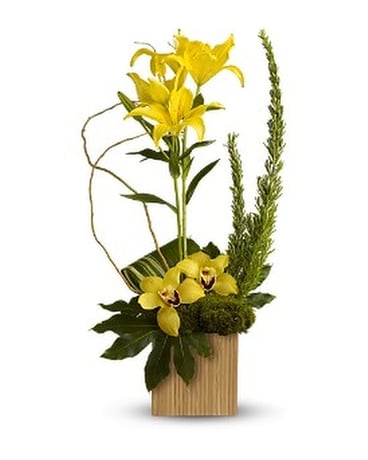 Teleflora's Bamboo Tropics Flower Arrangement