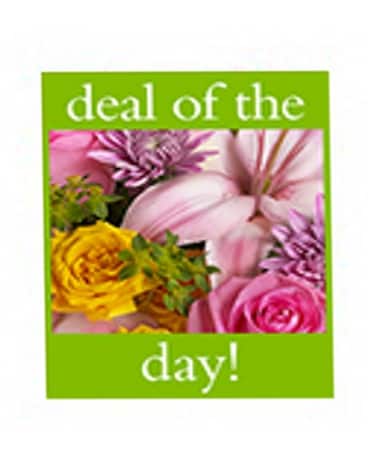 Deal of the Day Bouquet Flower Arrangement