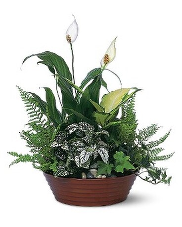 White Garden Flower Arrangement