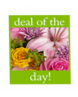 Deal of the Day Bouquet Flower Arrangement