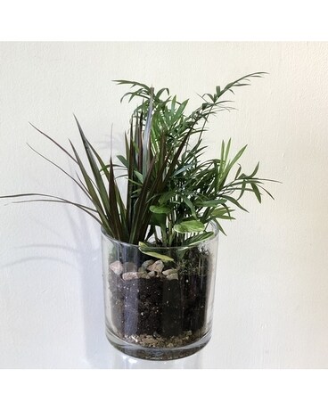 Garden in a Glass