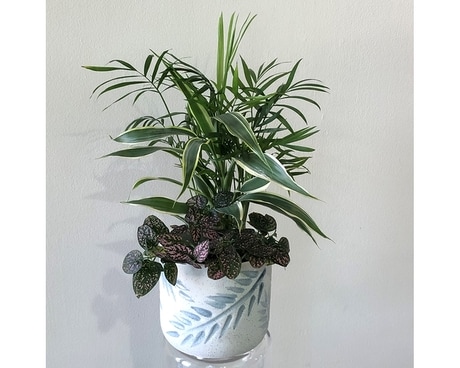 Small Ceramic Garden Plant