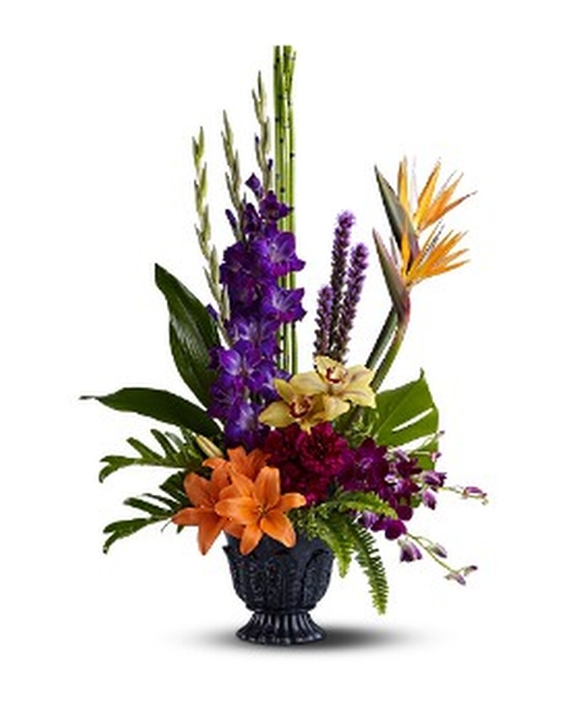 Teleflora's Paradise Blooms in Lincoln NE - Abloom