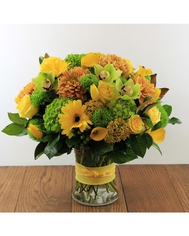 Classic size, 24 inches height and 20 inches wide.