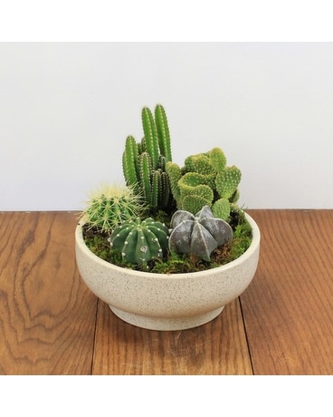 Cactus Garden in Denver CO - Happy Canyon Flowers