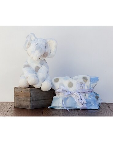 Blue Gray Polka Dot Elephant Blanket In Denver Co Happy Canyon Flowers