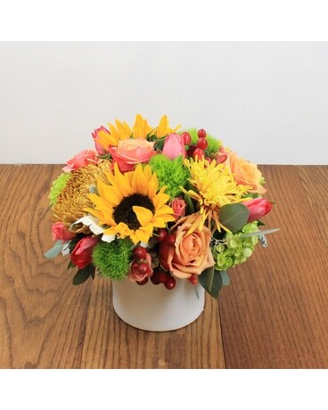 Classic size, 12 inches height and 12 inches wide.