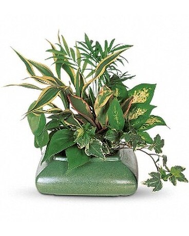 Small Garden Dish Flower Arrangement