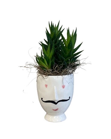 Plant Daddy Plant