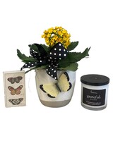 Bundle size,  inches height and  inches wide.
