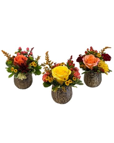 Fall Scatter (3 Petite Arrangements) Flower Arrangement