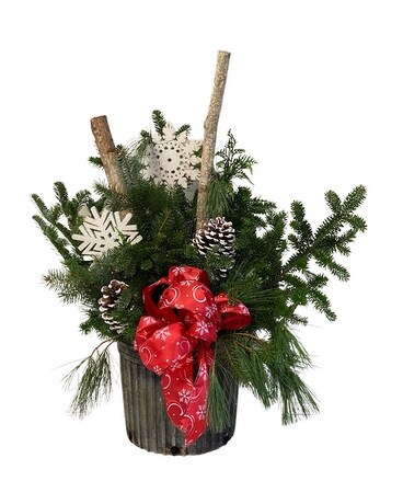 Porch Pot - Designer's Choice Plant