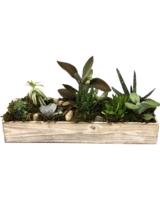 As Shown size,  inches height and  inches wide.
