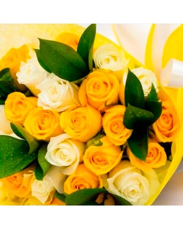 2 Dozen Wrapped Roses Flowers