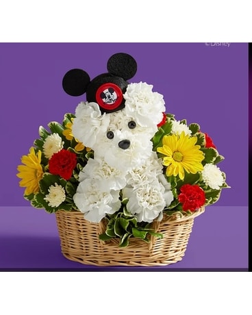 Dogable Disney Dog Flower Arrangement