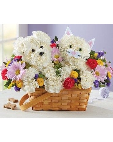 Paw Pals in Aston PA - Wise Originals Florists & Gifts
