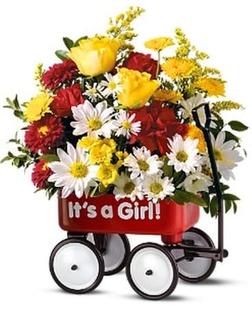 Teleflora's Baby's First Wagon - Girl Flower Arrangement