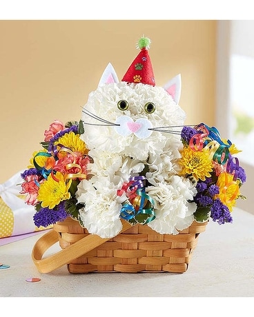 Happy Puurfect Party Flower Arrangement