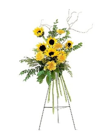 Shining Sentiments Spray Flower Arrangement