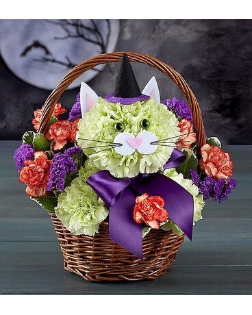 Purrfect Potions Fabulous Feline Flower Arrangement