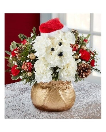 Santa Paws Flower Arrangement