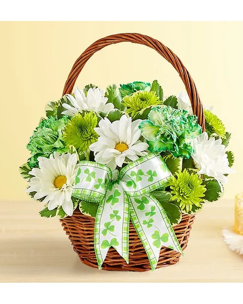 St. Patrick's Day Flower Basket in Aston PA - Wise Originals