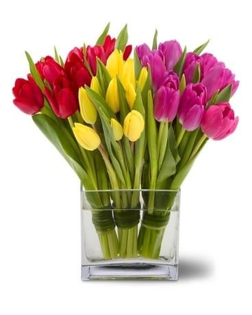 Teleflora's Tulips Together Flower Arrangement