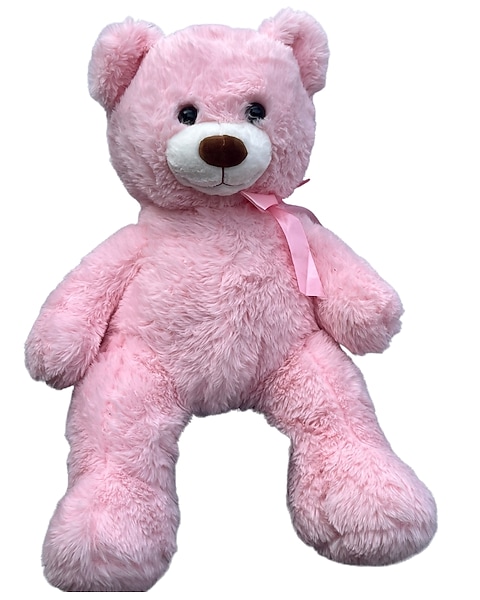 Giant Pink Teddy Bear in Tyler TX Flowers by LouAnn
