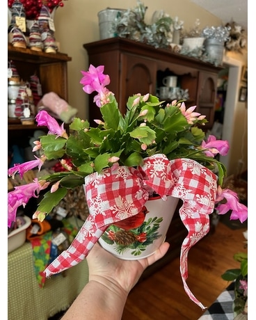 Lisk's Christmas Cactus Flower Arrangement