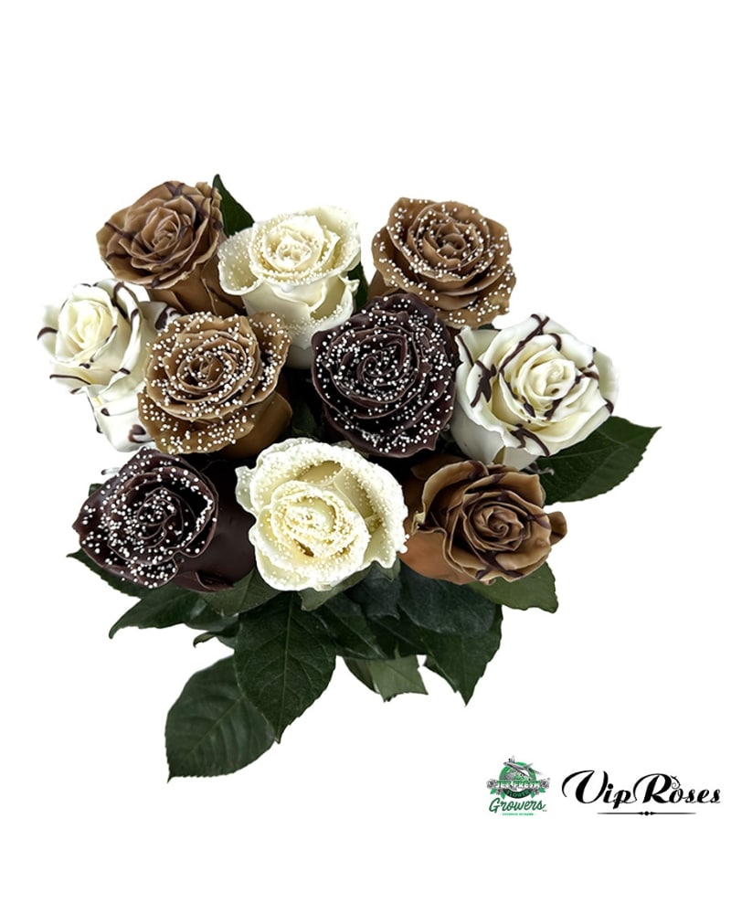Choco Loco Roses in Hartford CT - House of Flora Flowers and More