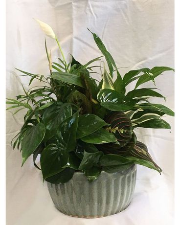 ceramic garden Flower Arrangement