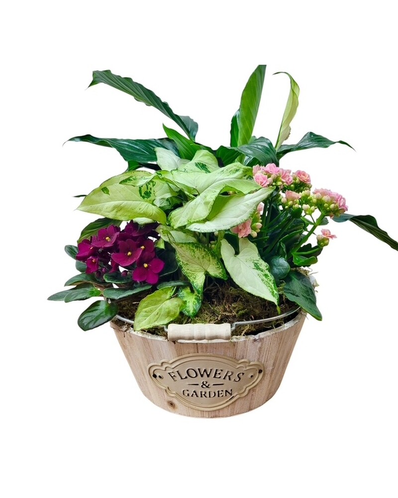 Flowers & Garden in Cottage Grove OR - The Flower Basket