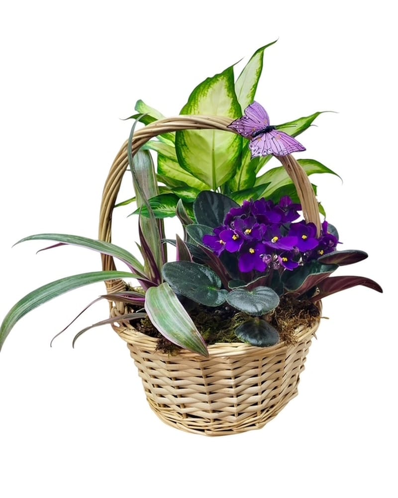 作者不詳「flower basket 」 作者不詳「flower basket 」 作者不詳「flower basket 」 Garden Style