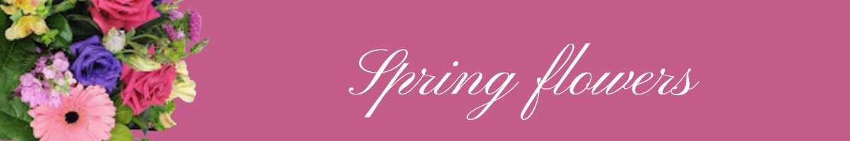 Flower Delivery to Glenview by Hlavacek Florist of Glenview