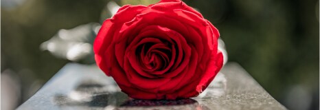 Sympathy Flowers & Gifts