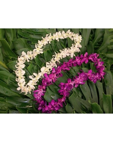 Orchid Lei Corsage