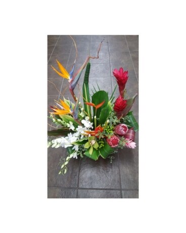 Beautiful Tropical arrangement