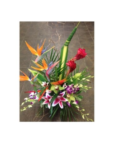 Tropical Arrangement