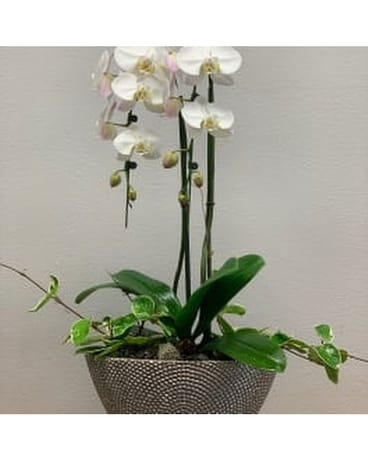 A Drop of Silver/Gold Flower Arrangement