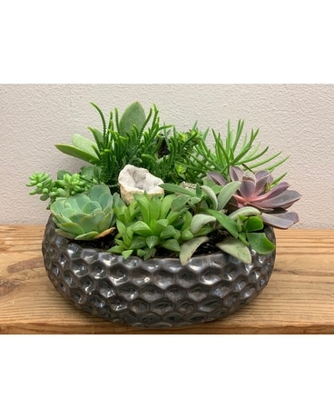 Succulent Garden in Metallic Pot Flower Arrangement