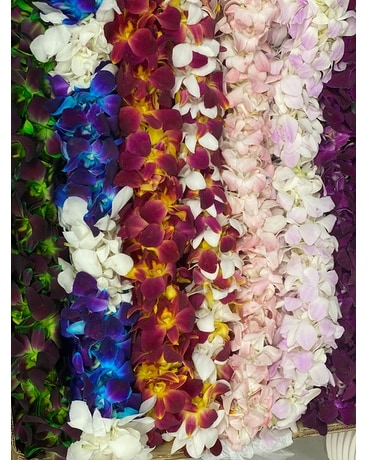 Graduation Lei