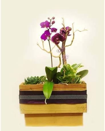 Lavender Touch Flower Arrangement